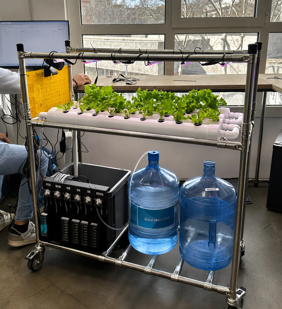 Automated hydroponic garden